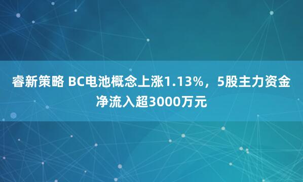 睿新策略 BC电池概念上涨1.13%，5股主力资金净流入超3000万元