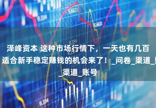 泽峰资本 这种市场行情下，一天也有几百块！适合新手稳定赚钱的机会来了！_问卷_渠道_账号