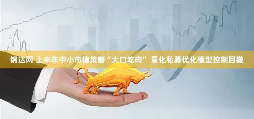 锦达网 上半年中小市值策略“大口吃肉” 量化私募优化模型控制回撤