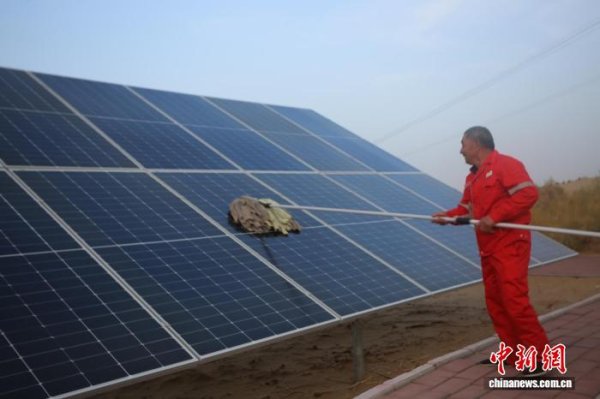 财富牛 通车30周年 塔里木沙漠公路为新疆经济助力