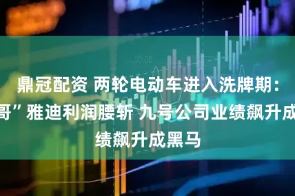 鼎冠配资 两轮电动车进入洗牌期：“一哥”雅迪利润腰斩 九号公司业绩飙升成黑马